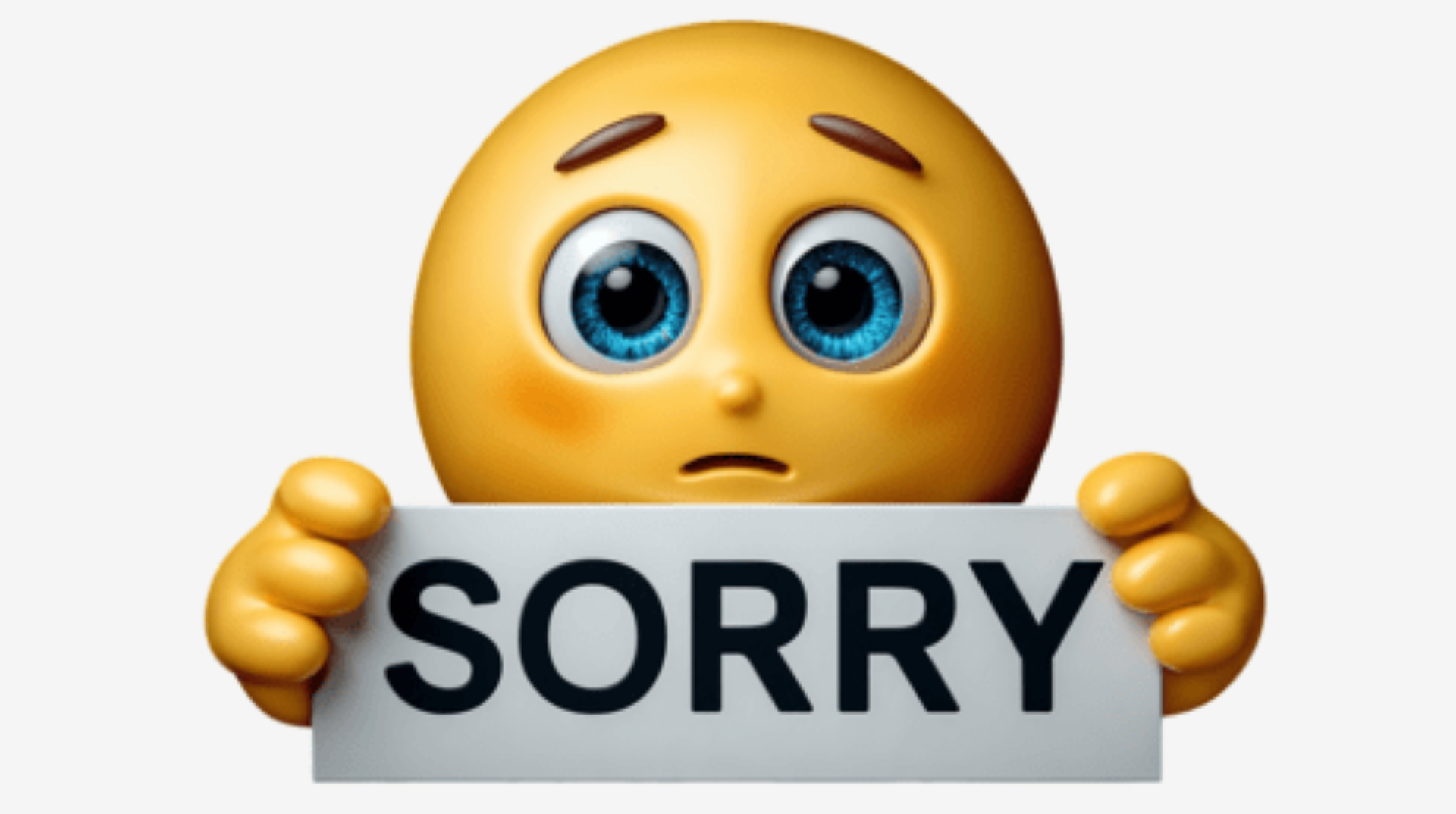 SORRY MEDIUM